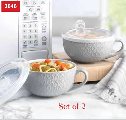Ceramic Soup Bowls With Lids -  Set of 2