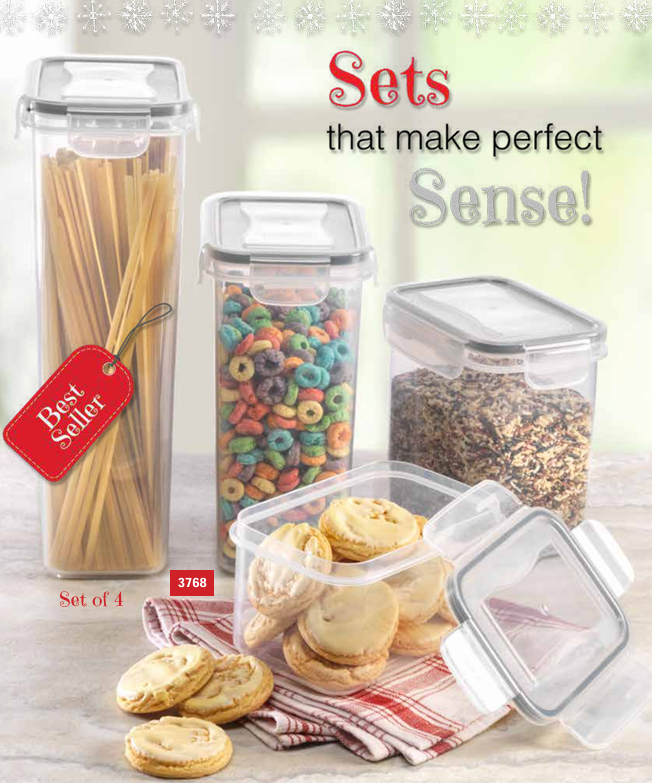 Snap Lid Storage Containers - Set of 4
