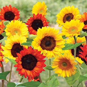 Sunflower Flower Mat