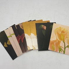 Anne Geddies Greeting Cards Set of 12